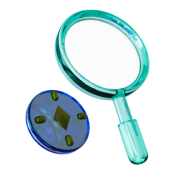 designUIUX.DiscoveryPhase